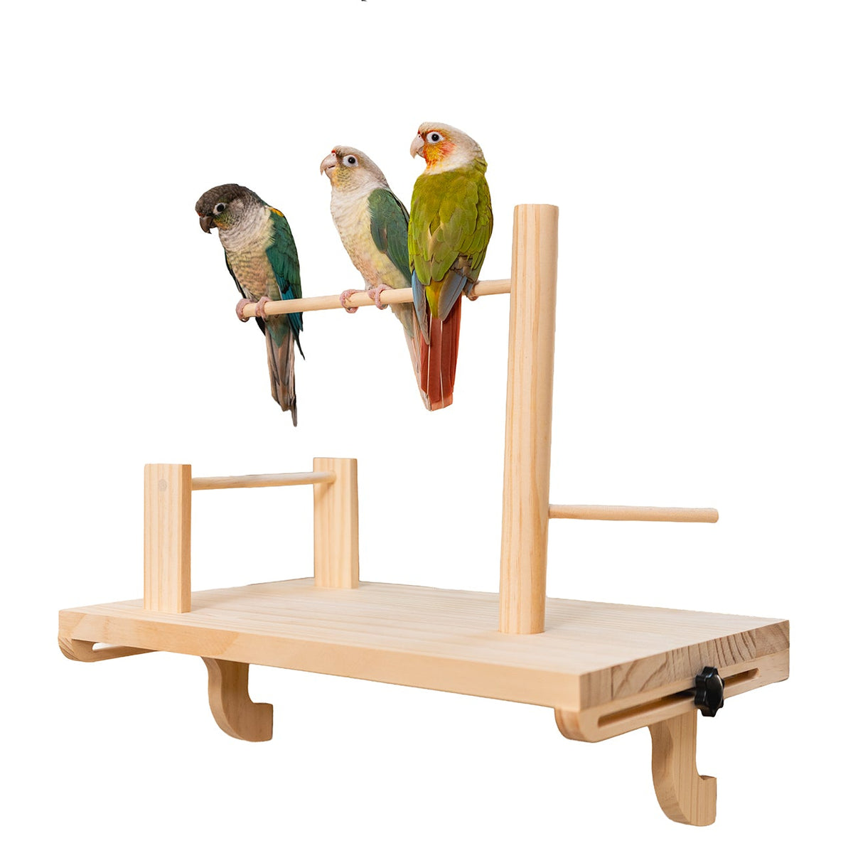 Adjustable Window Bird Perch Stand