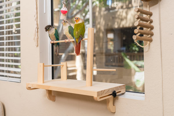 Adjustable Window Bird Perch Stand — No Drilling, 3 Perch Sizes
