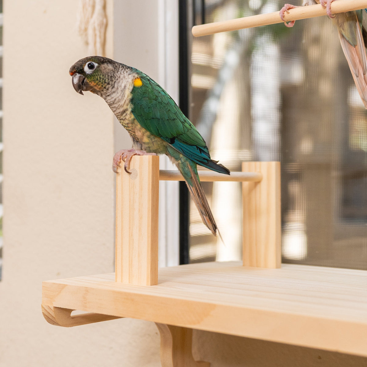 Adjustable Window Bird Perch Stand
